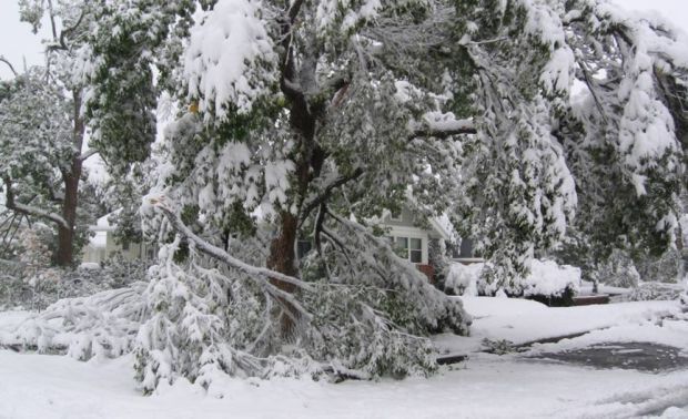 Winter Storm Atlas